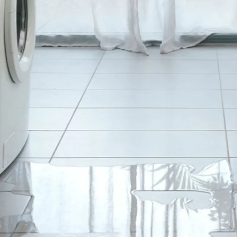 Appliance Leak Cleanup in Lake Wylie, SC