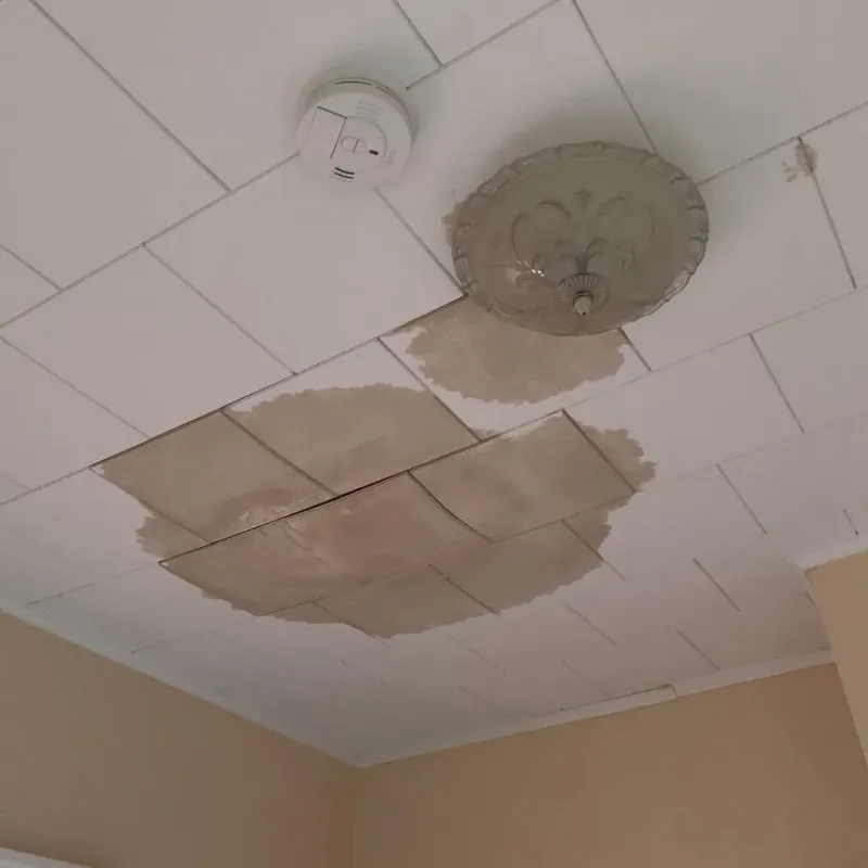 Ceiling Water Damage Repair in Lake Wylie, SC