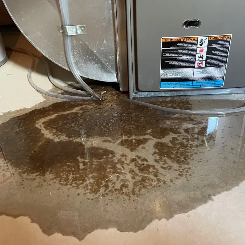 Pipe Burst and Leak Restoration in Lake Wylie, SC